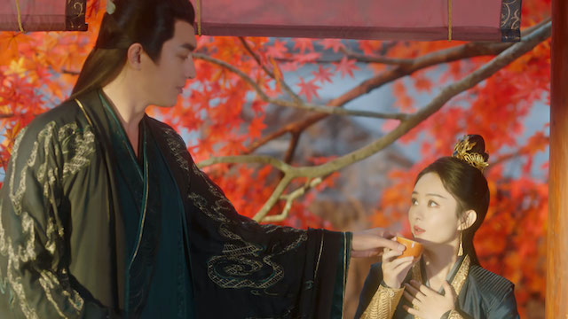 中国ドラマ『与鳳行』場面写真一挙公開の画像