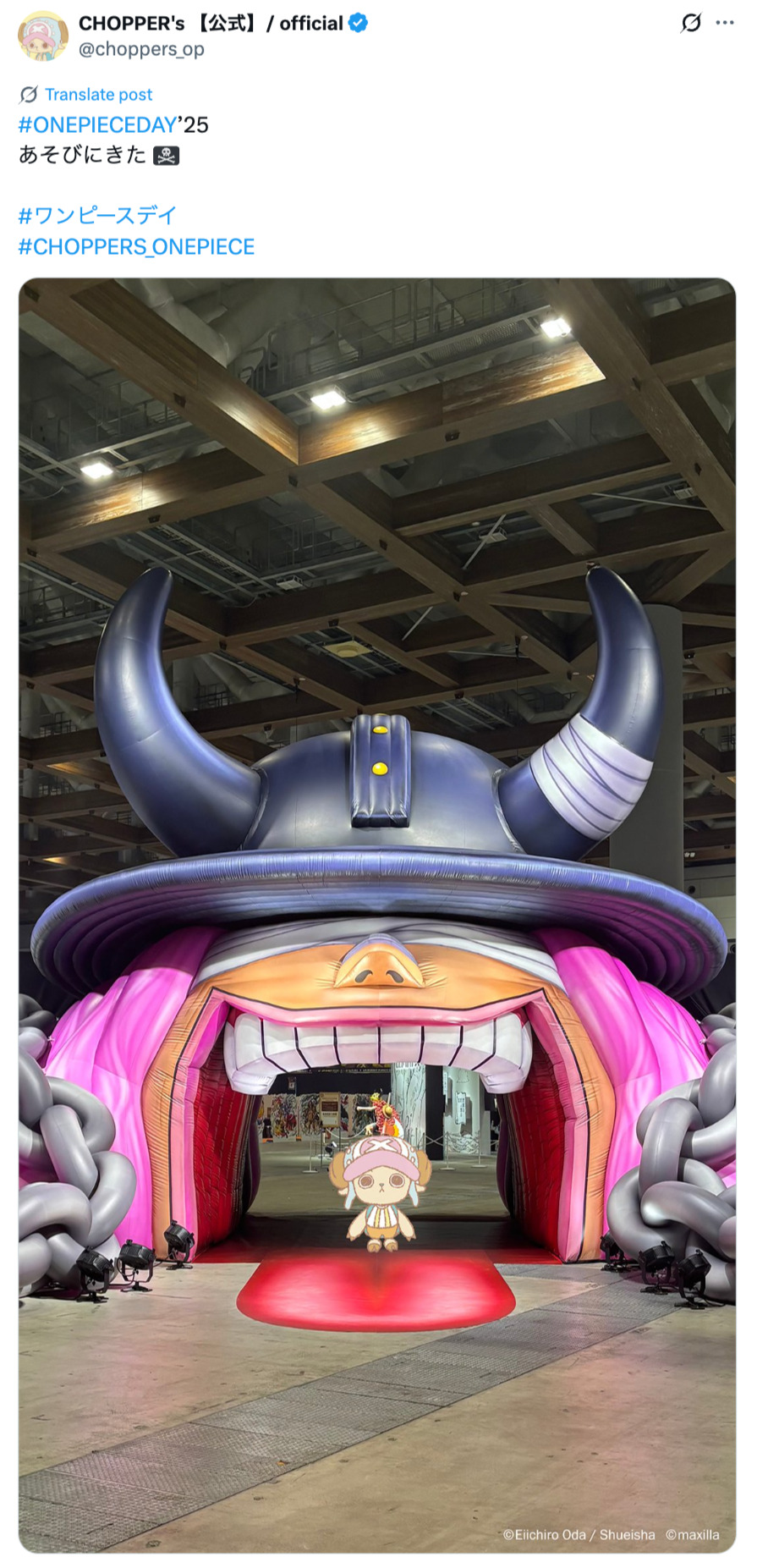 もしチョッパーが現実世界にいたら？の画像