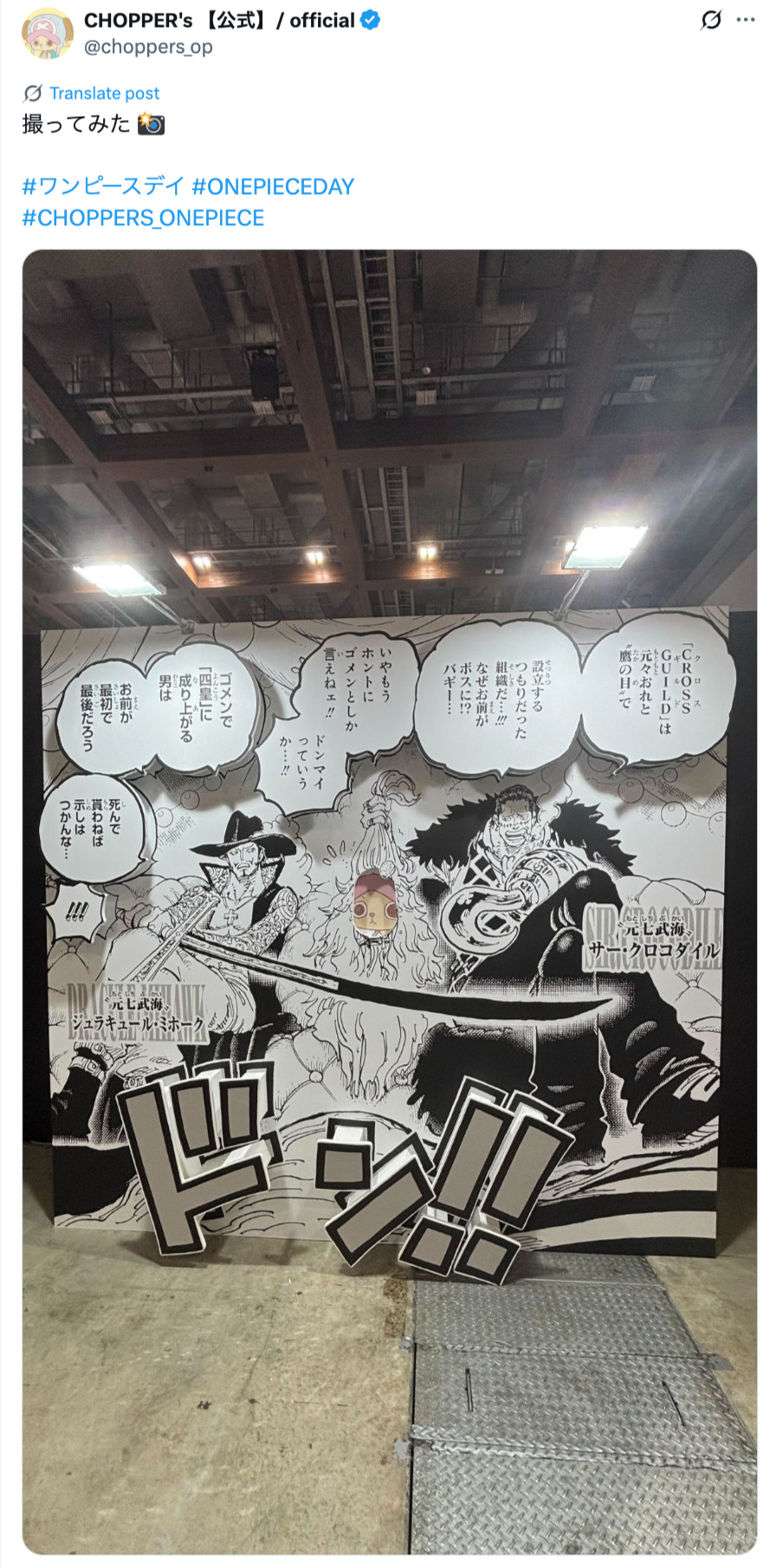 もしチョッパーが現実世界にいたら？の画像