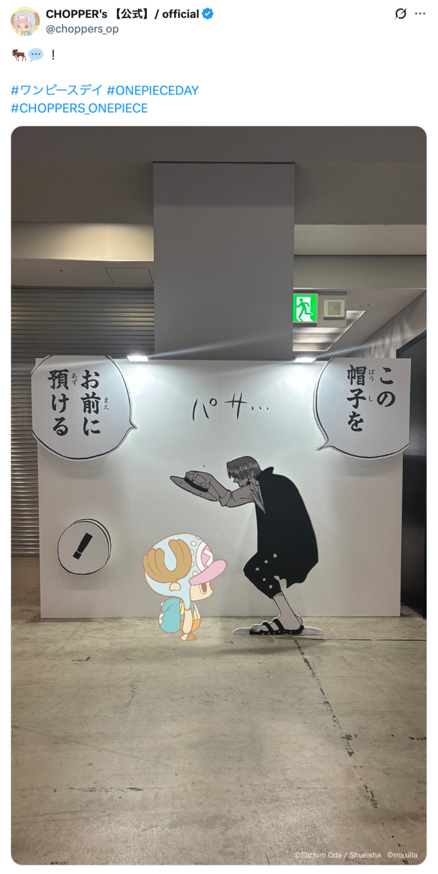 もしチョッパーが現実世界にいたら？の画像