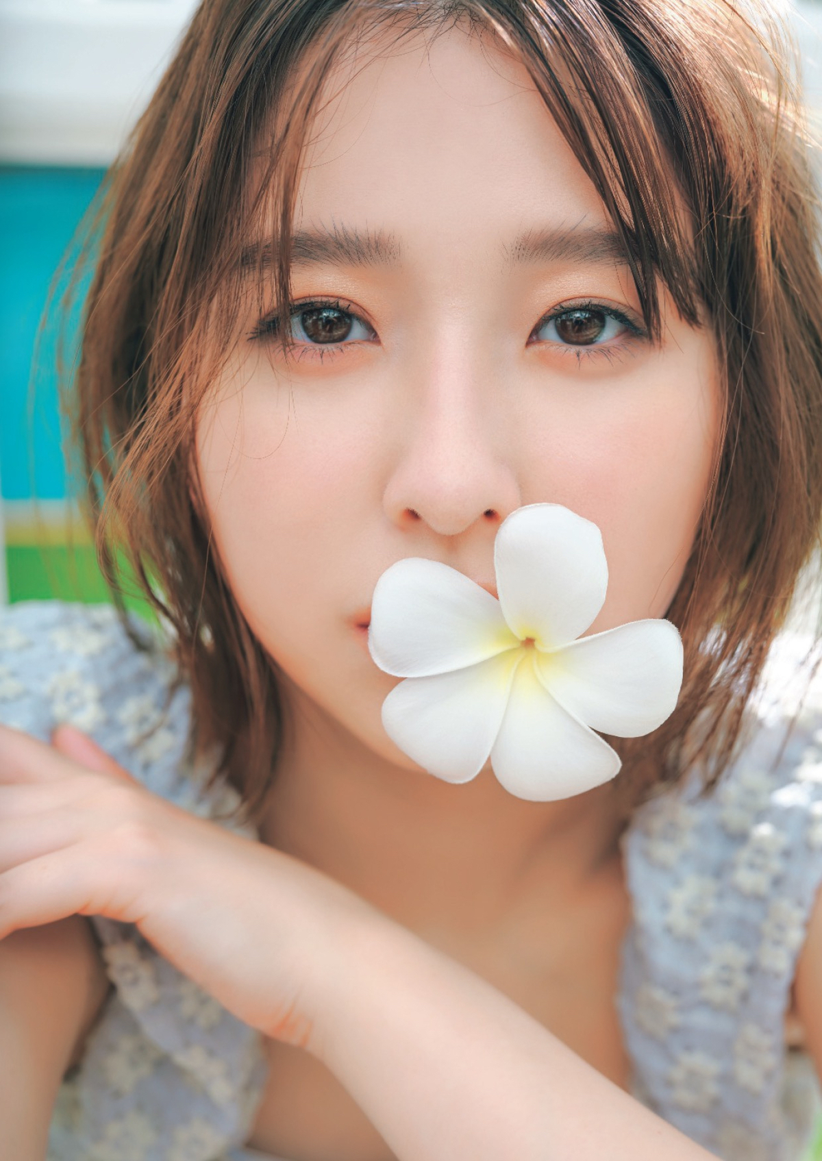 玉井詩織、写真集2冊がともに重版決定の画像