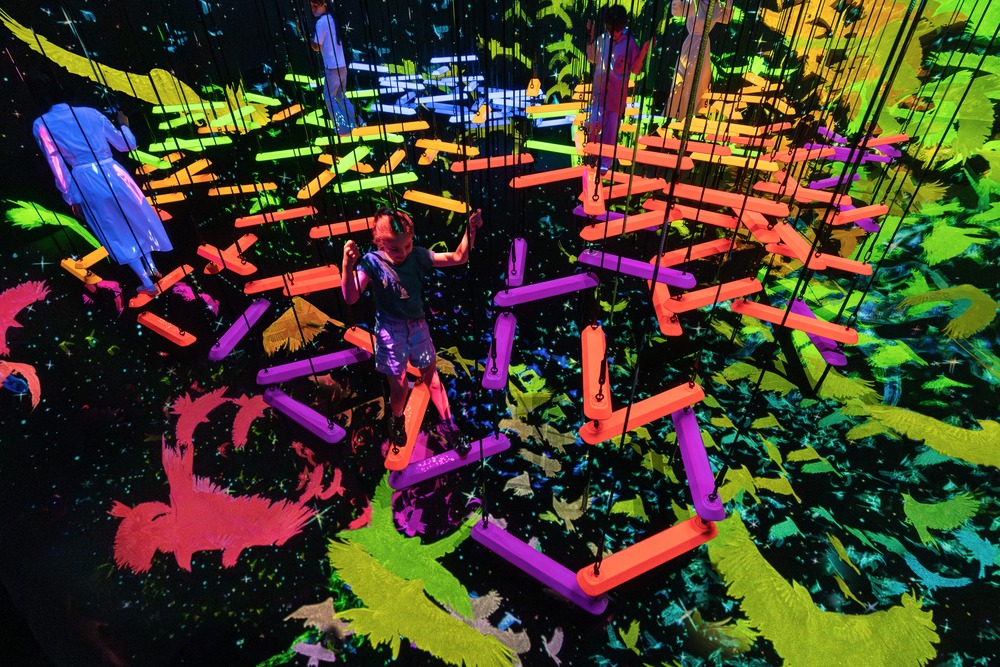 イロトリドリのエアリアルクライミング