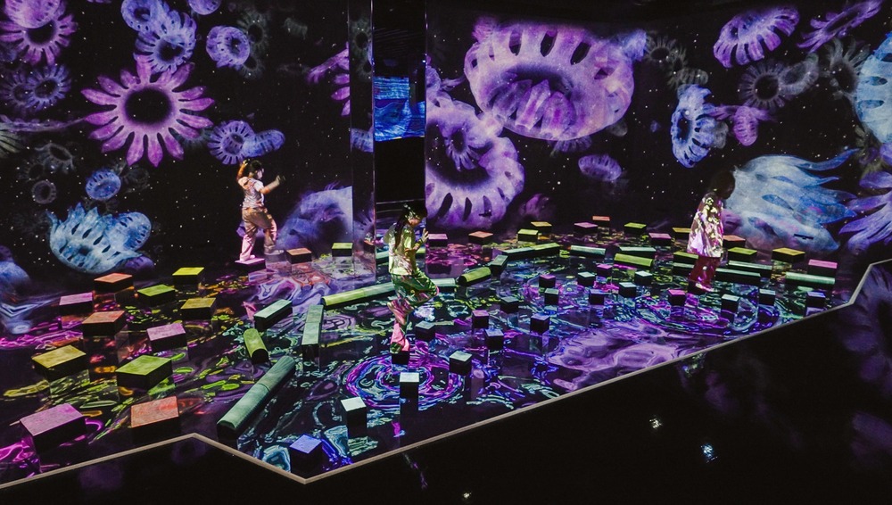 インビジブルな世界のバランス飛石