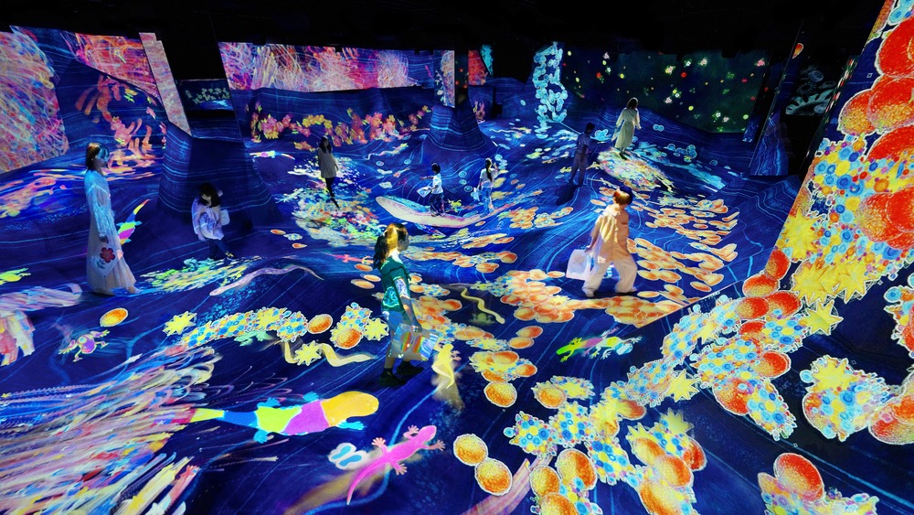 グラフィティネイチャー