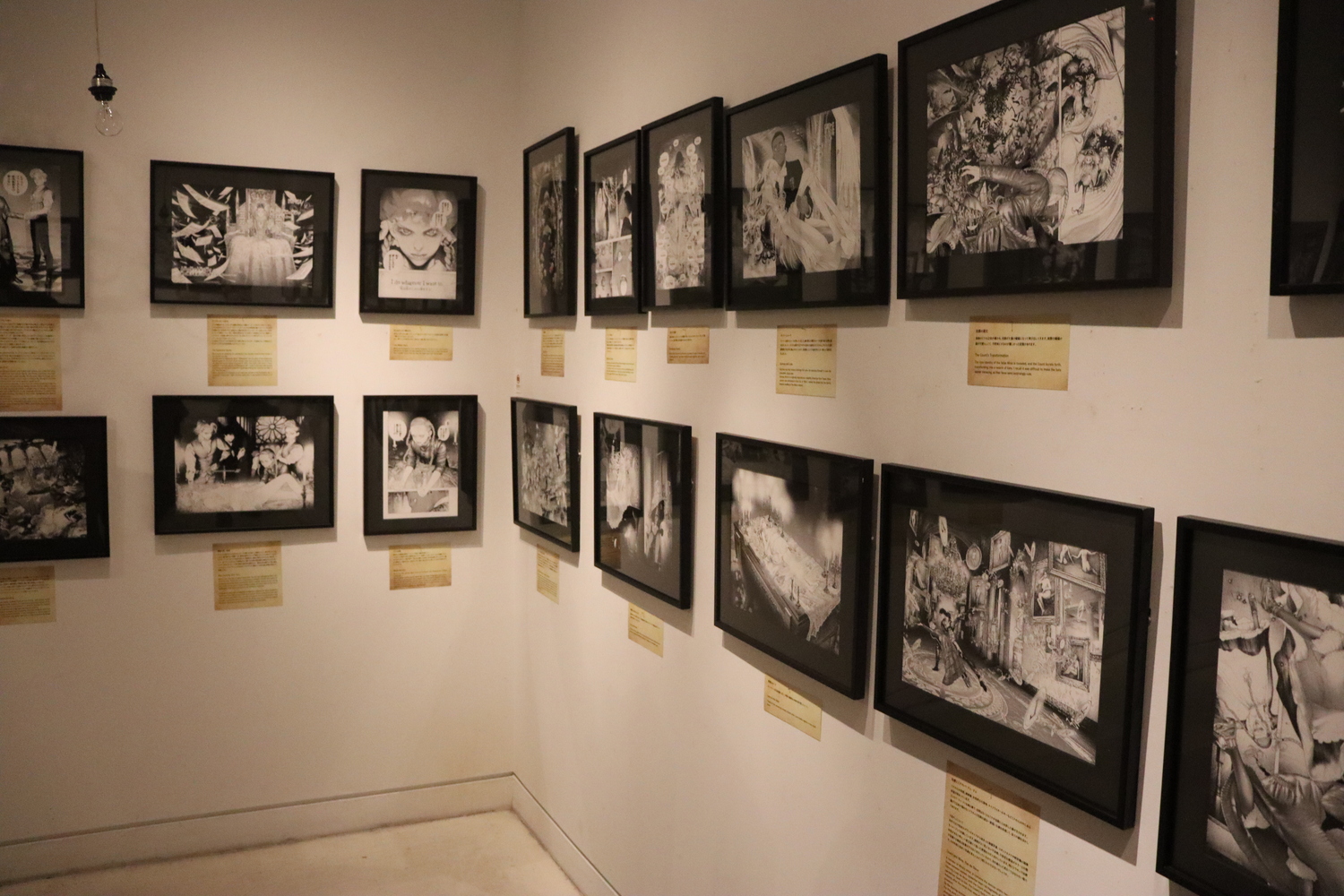 『#DRCL』坂本眞一の”美”に迫る展覧会の画像