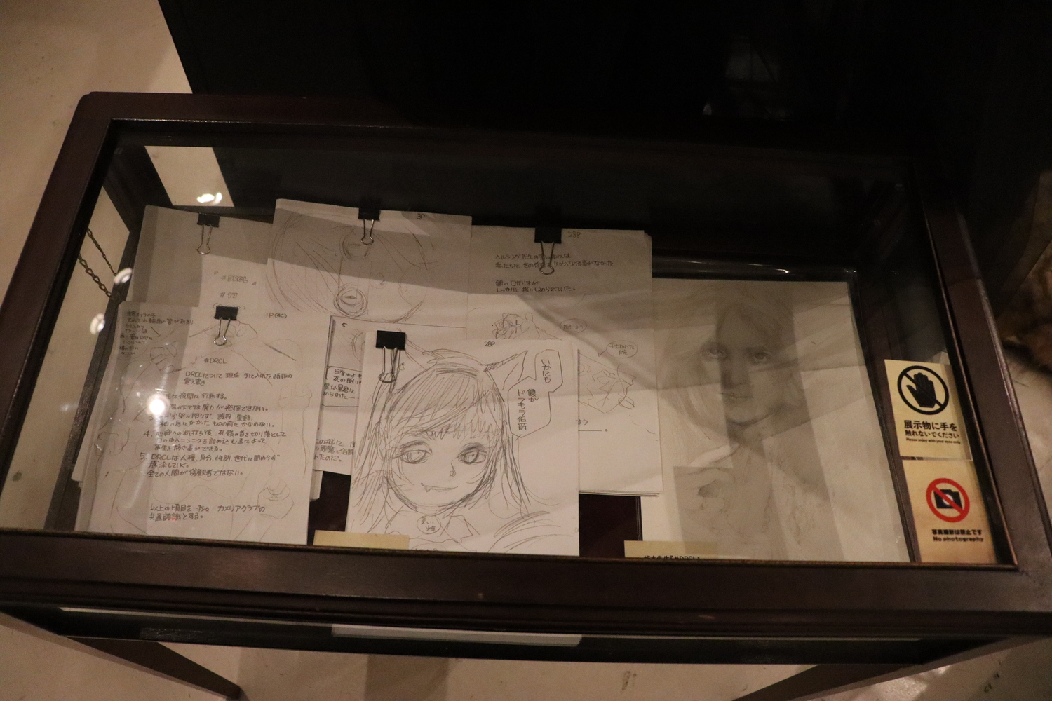 『#DRCL』坂本眞一の”美”に迫る展覧会の画像