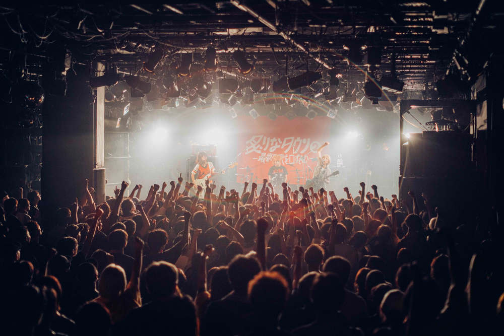 炙りなタウン ライブ写真