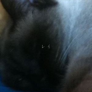 「レイ」ジャケット