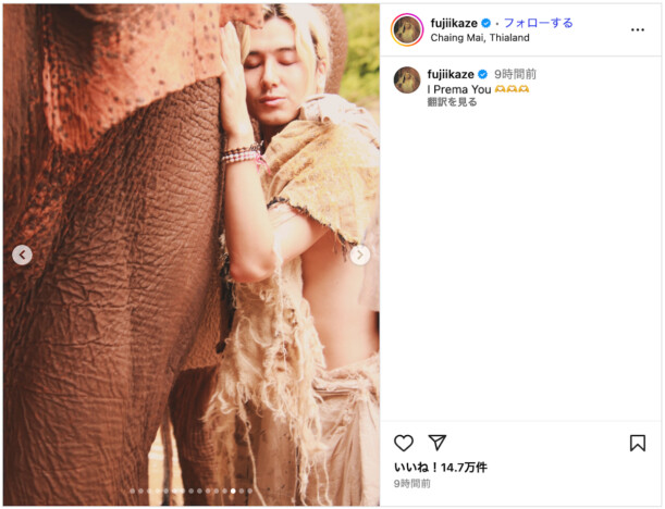 藤井 風、象とのツーショに「神々しい」