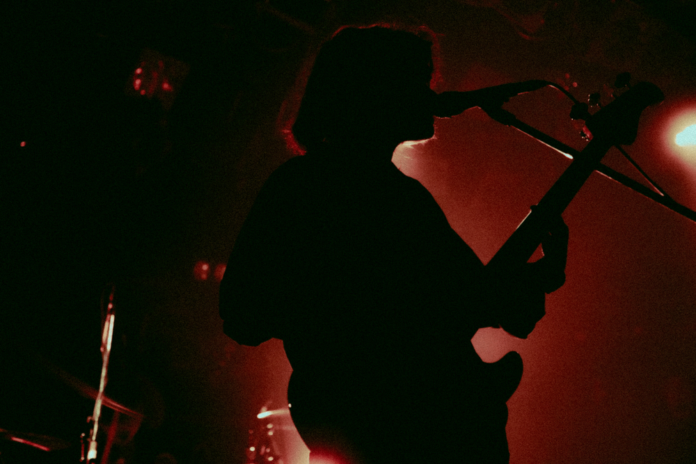 Nikoん ライブ写真