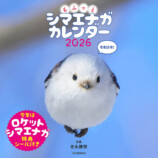 「もふっとシマエナガ卓上カレンダー2026」の画像