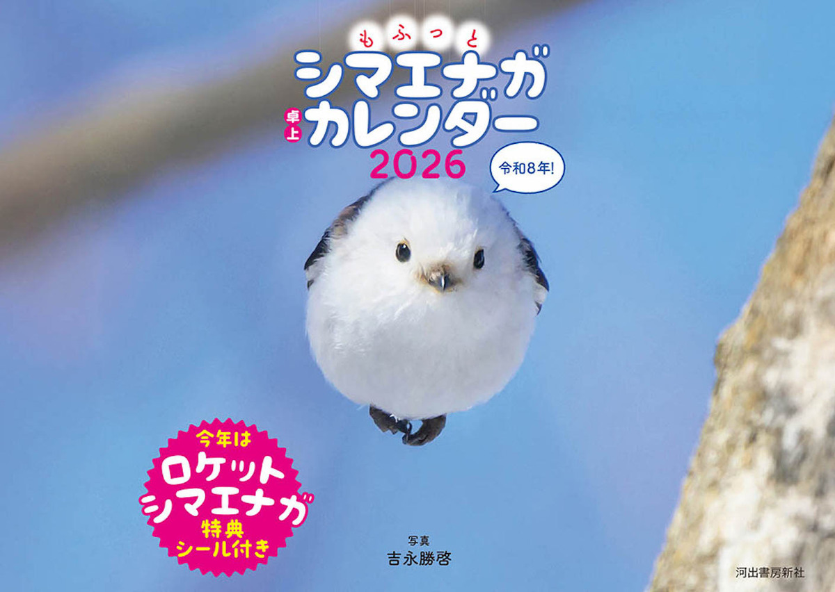 「もふっとシマエナガ卓上カレンダー2026」の画像