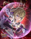 タイプ：ガーディアン【★5　金剛不壊の護り】