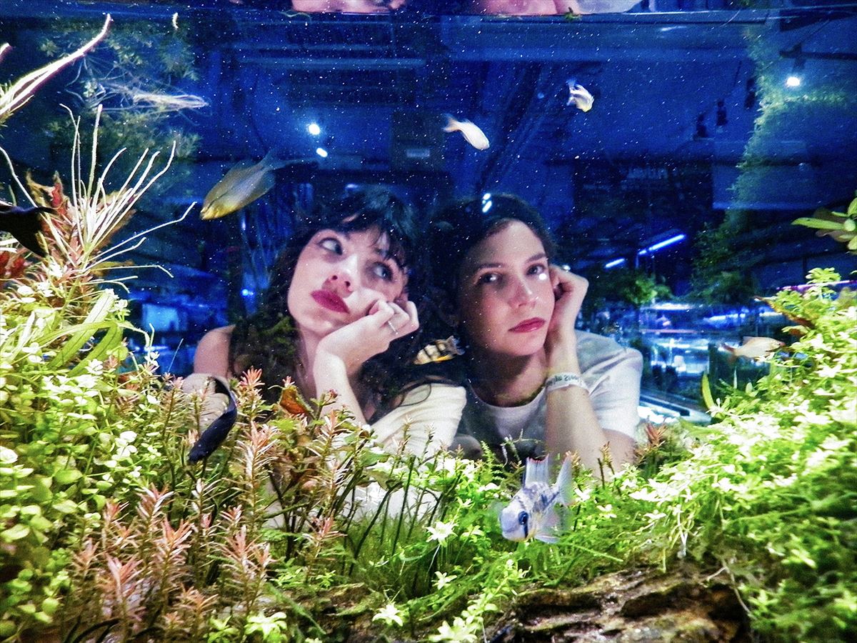 Pacifica、新曲配信リリース