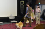 大東駿介＆飯豊まりえ、名犬の芝居を絶賛の画像