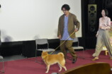 大東駿介＆飯豊まりえ、名犬の芝居を絶賛の画像