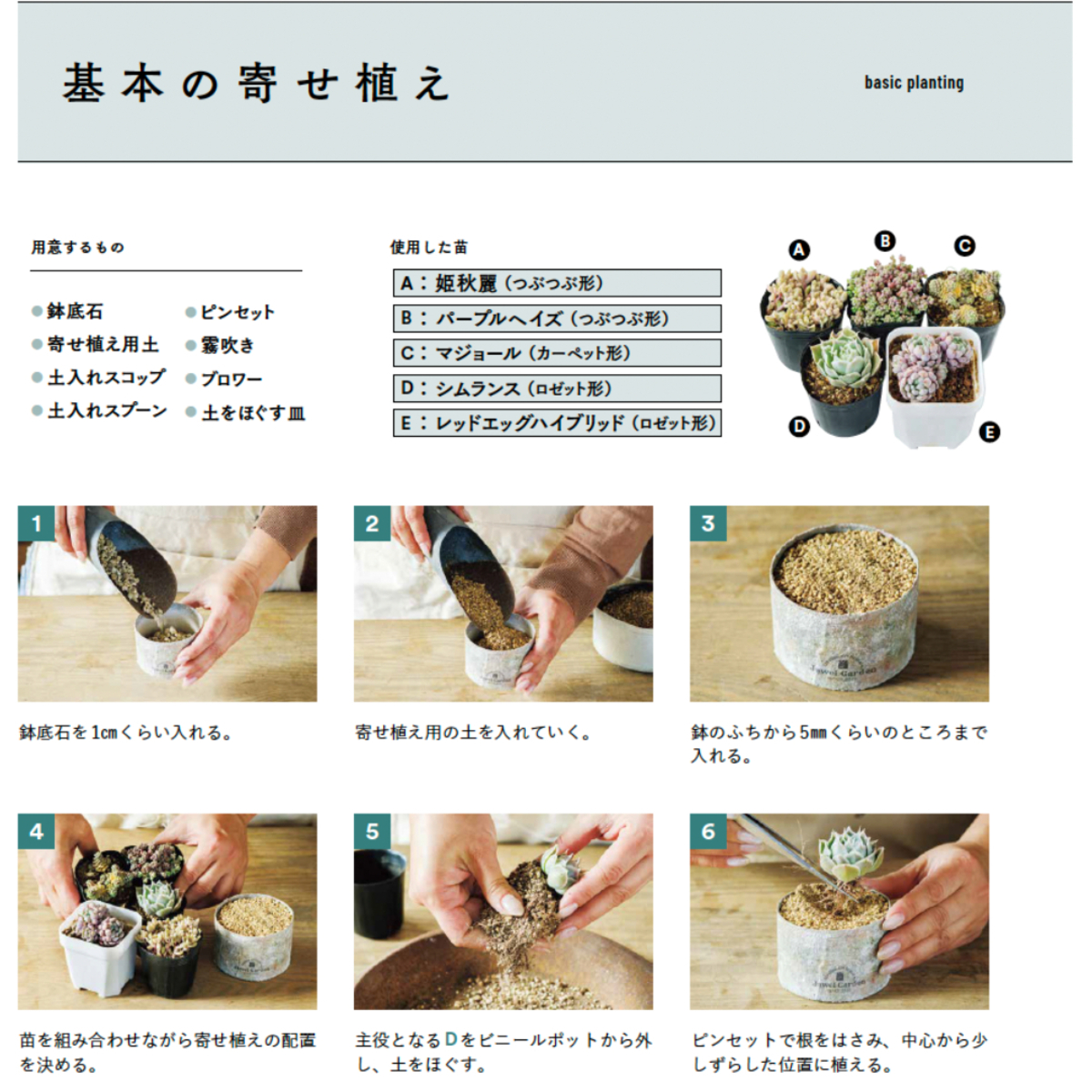 人気講師・kurumi『多肉植物寄せ植え手帖』の画像