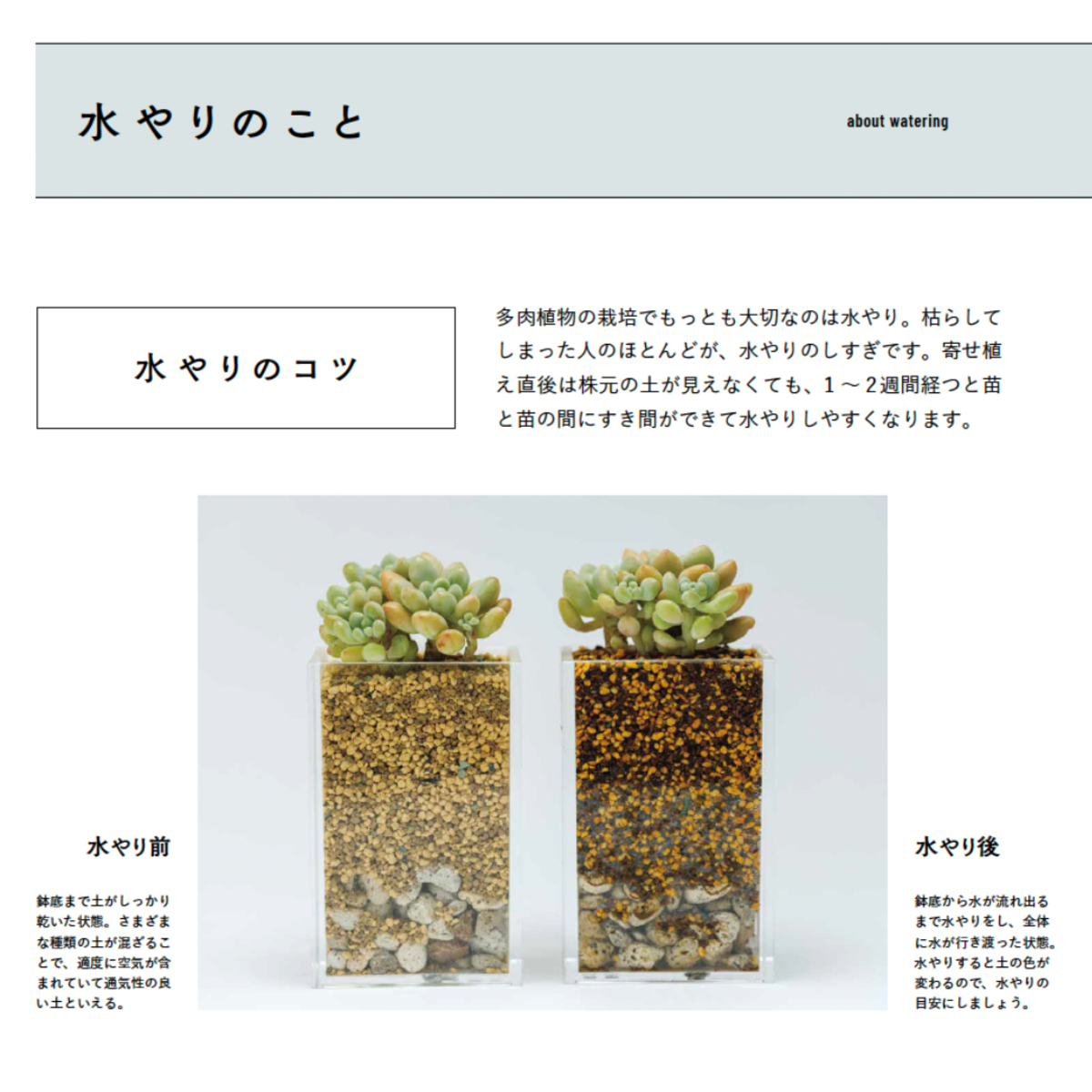 人気講師・kurumi『多肉植物寄せ植え手帖』の画像