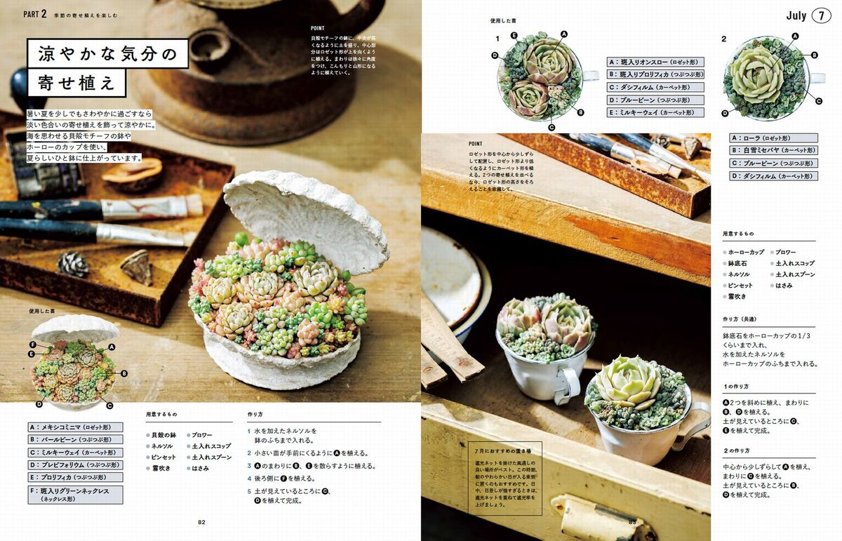 人気講師・kurumi『多肉植物寄せ植え手帖』の画像