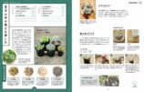 人気講師・kurumi『多肉植物寄せ植え手帖』の画像