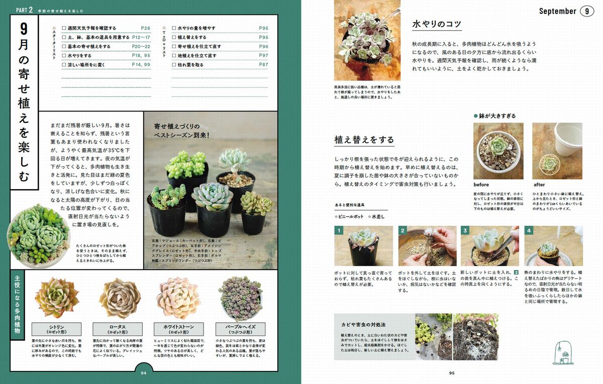人気講師・kurumi『多肉植物寄せ植え手帖』の画像