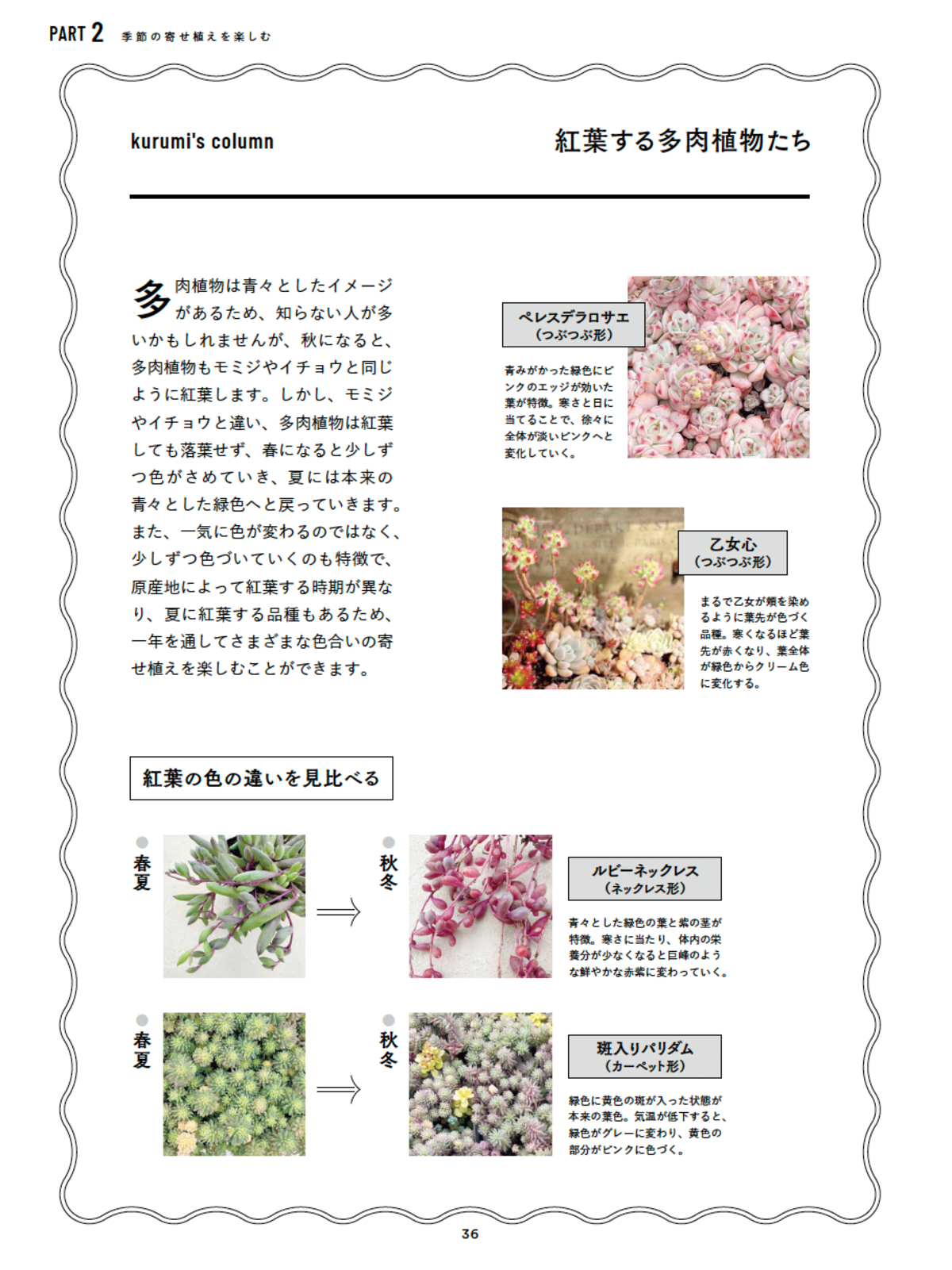 人気講師・kurumi『多肉植物寄せ植え手帖』の画像