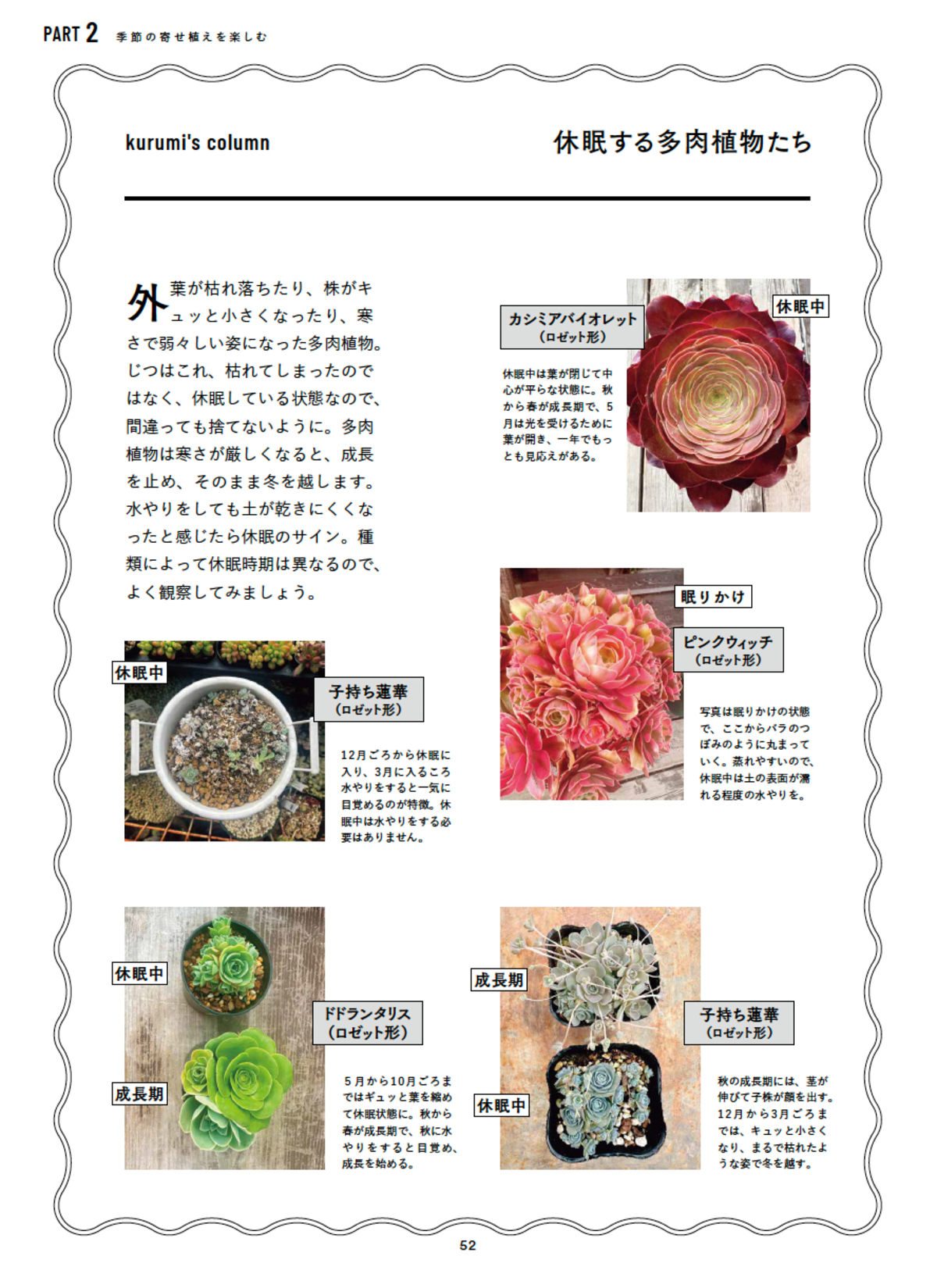 人気講師・kurumi『多肉植物寄せ植え手帖』の画像