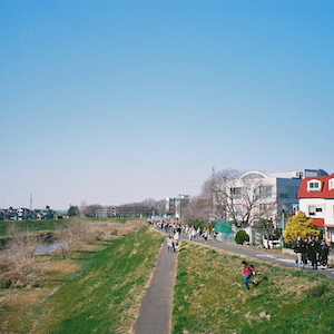 「わたしのねがい」