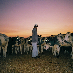 「Daylight Dreaming」