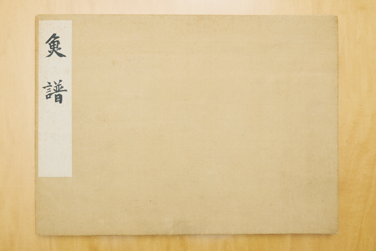 荒俣宏が絶賛する天才博物画家・伊藤熊太郎の画像