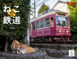 線路・駅に佇むネコを撮影「ねこと鉄道」の画像