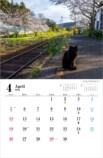 線路・駅に佇むネコを撮影「ねこと鉄道」の画像