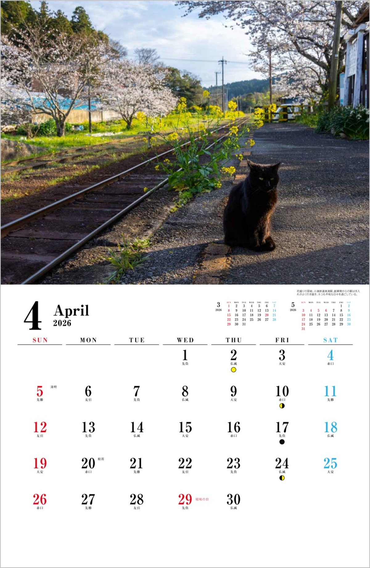 線路・駅に佇むネコを撮影「ねこと鉄道」の画像