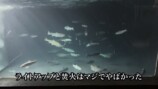 庭に池を作って1か月経った様子