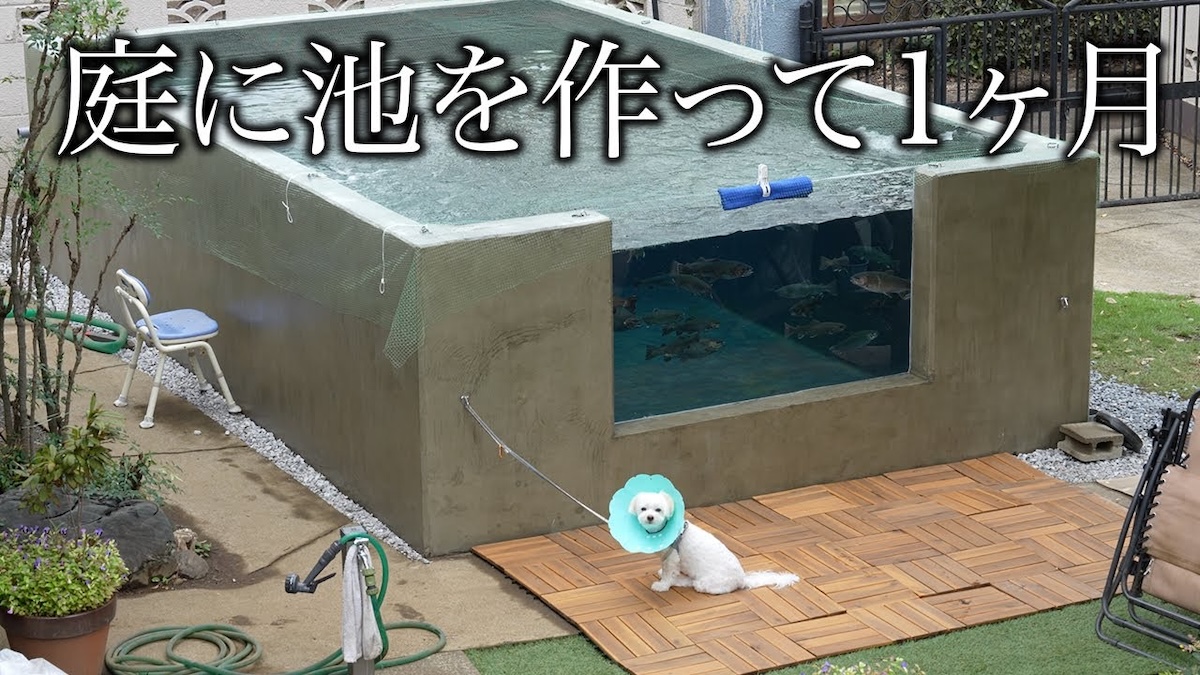 「庭の池で釣りしよう」チャンネルが面白い