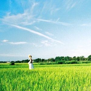 水平線「エンドレスサマー」ジャケット写真