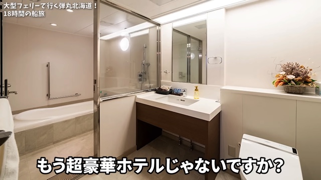 フェリー旅を楽しむいけちゃん