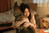 『少年と犬』特典映像は見逃せない内容の画像