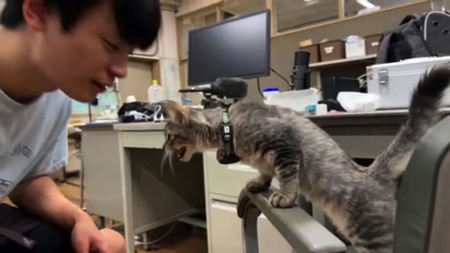 すしらーめん《りく》が登録者数1000万人突破記念で行った大規模実験