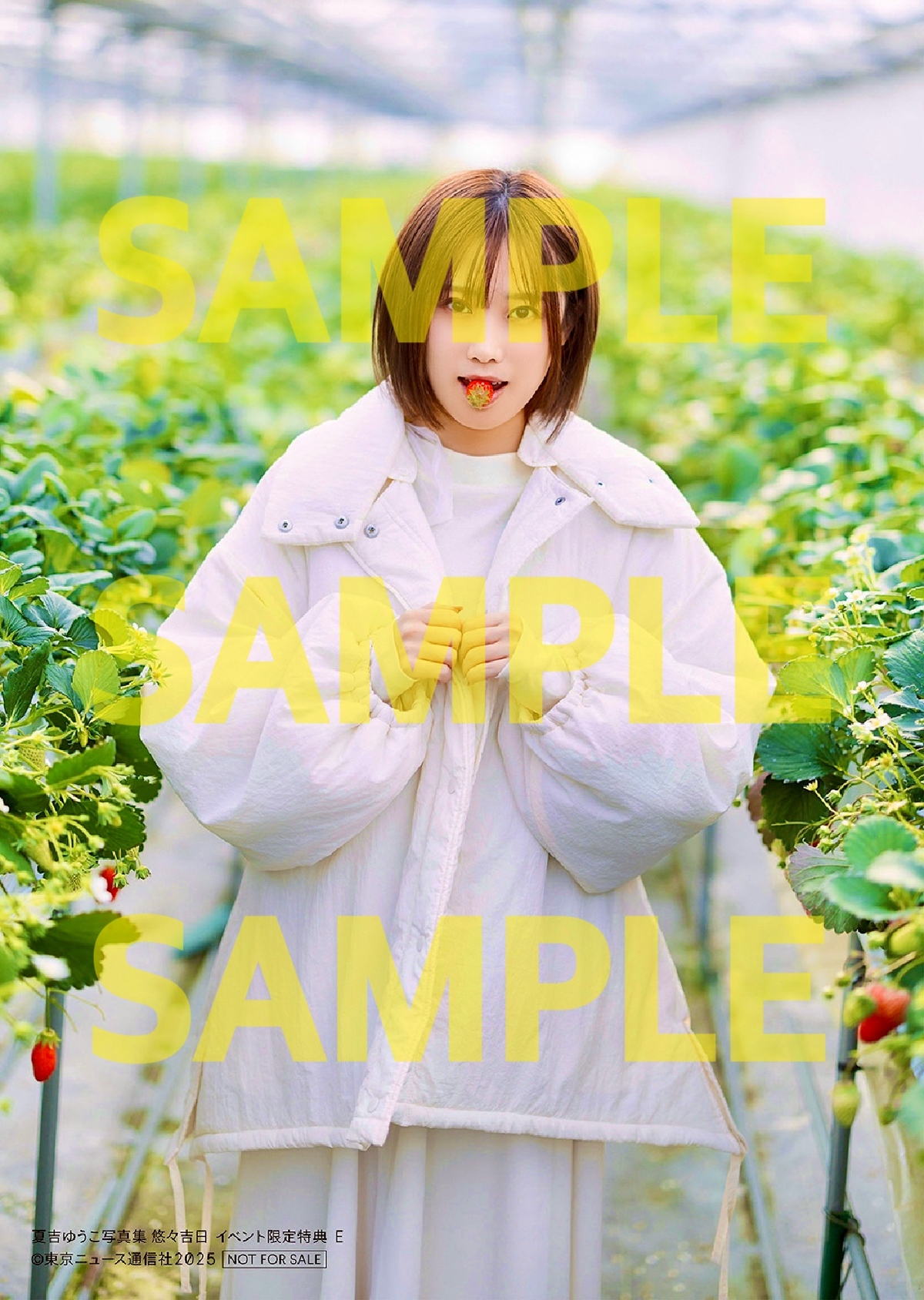 声優・夏吉ゆうこ『悠々吉日』重版決定の画像