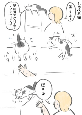 【漫画】猫は意外とぬけてる？