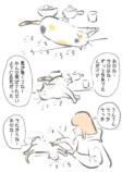 【漫画】猫は意外とぬけてる？の画像