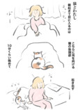 【漫画】猫は意外とぬけてる？の画像