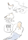 【漫画】猫は意外とぬけてる？の画像