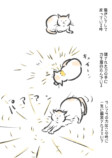 【漫画】猫は意外とぬけてる？の画像