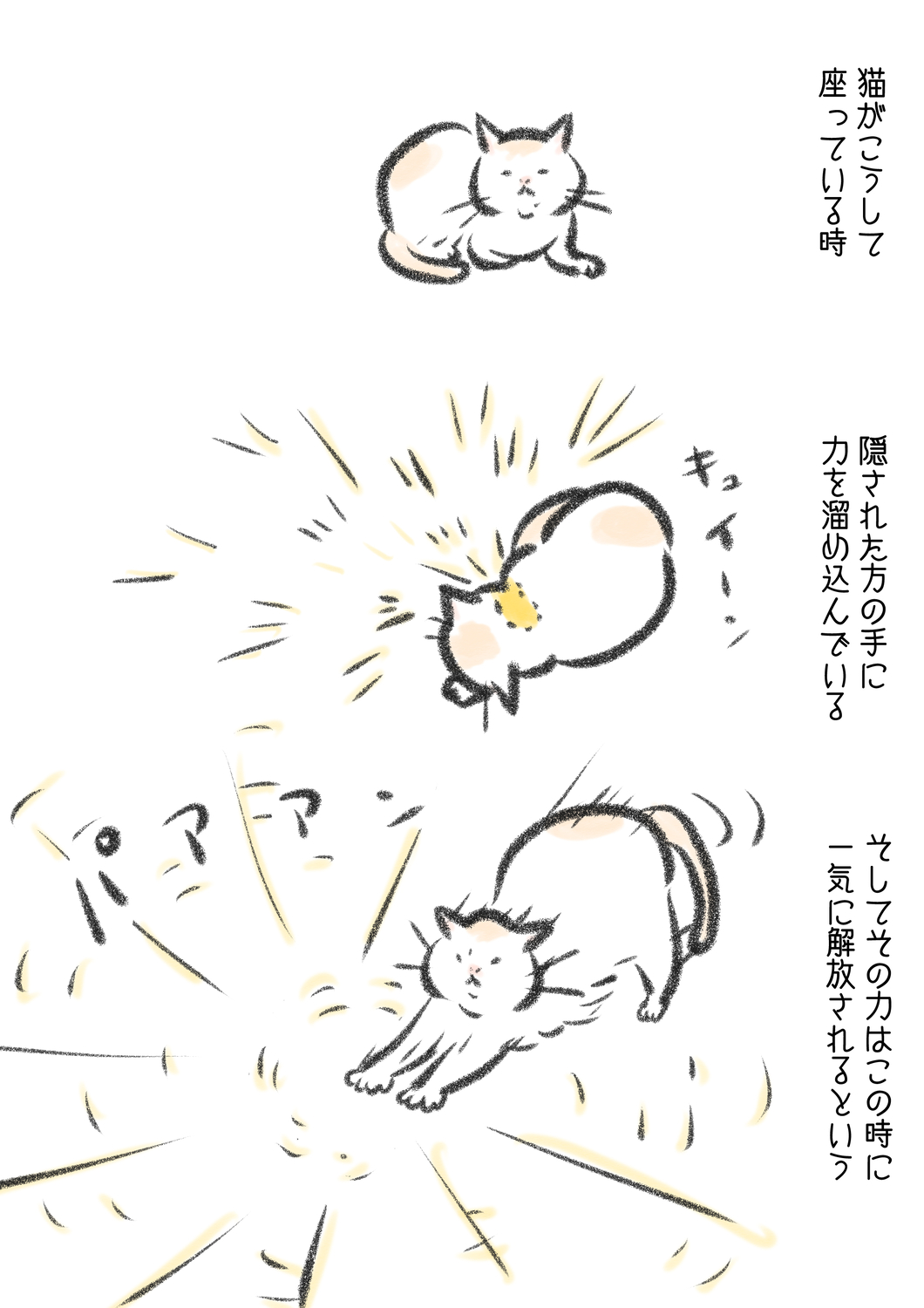 【漫画】猫は意外とぬけてる？の画像