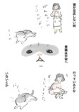 【漫画】猫は意外とぬけてる？の画像