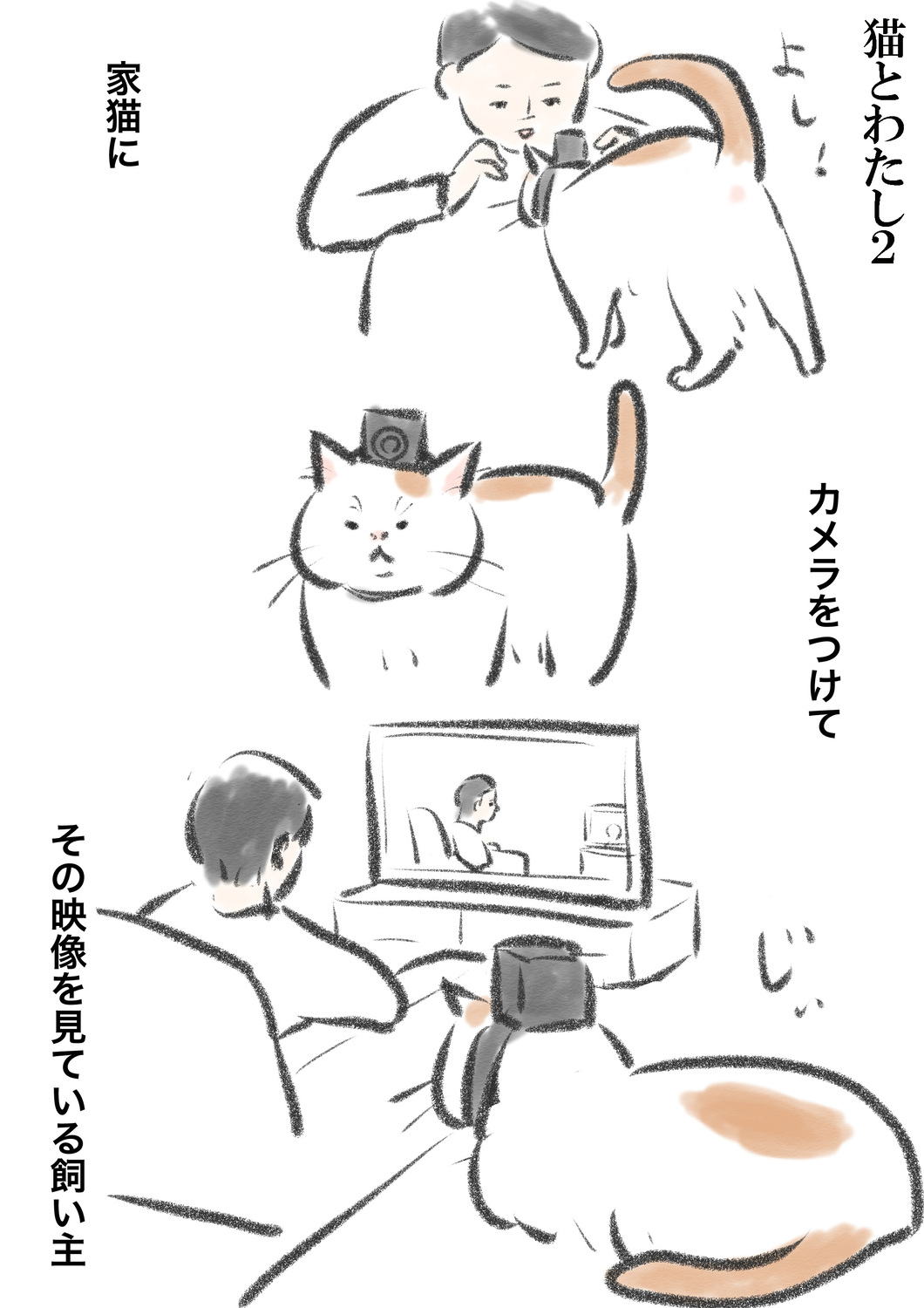 【漫画】猫は意外とぬけてる？の画像