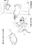 【漫画】猫は意外とぬけてる？の画像