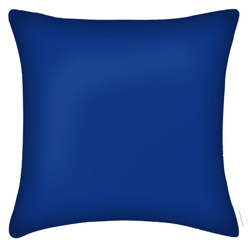 「オリジナルスパンコールクッションカバー メガリザードンX」裏